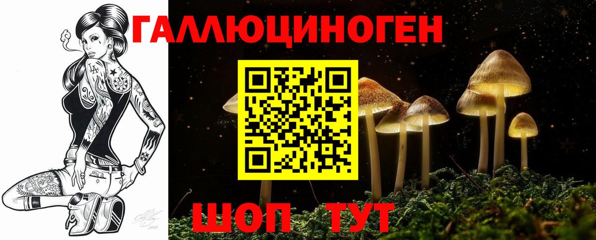 Сосновый Бор  Псилоцибиновые грибы мицелий  Галлюциногенные грибы мицелий  закладка  Вход с VPN 